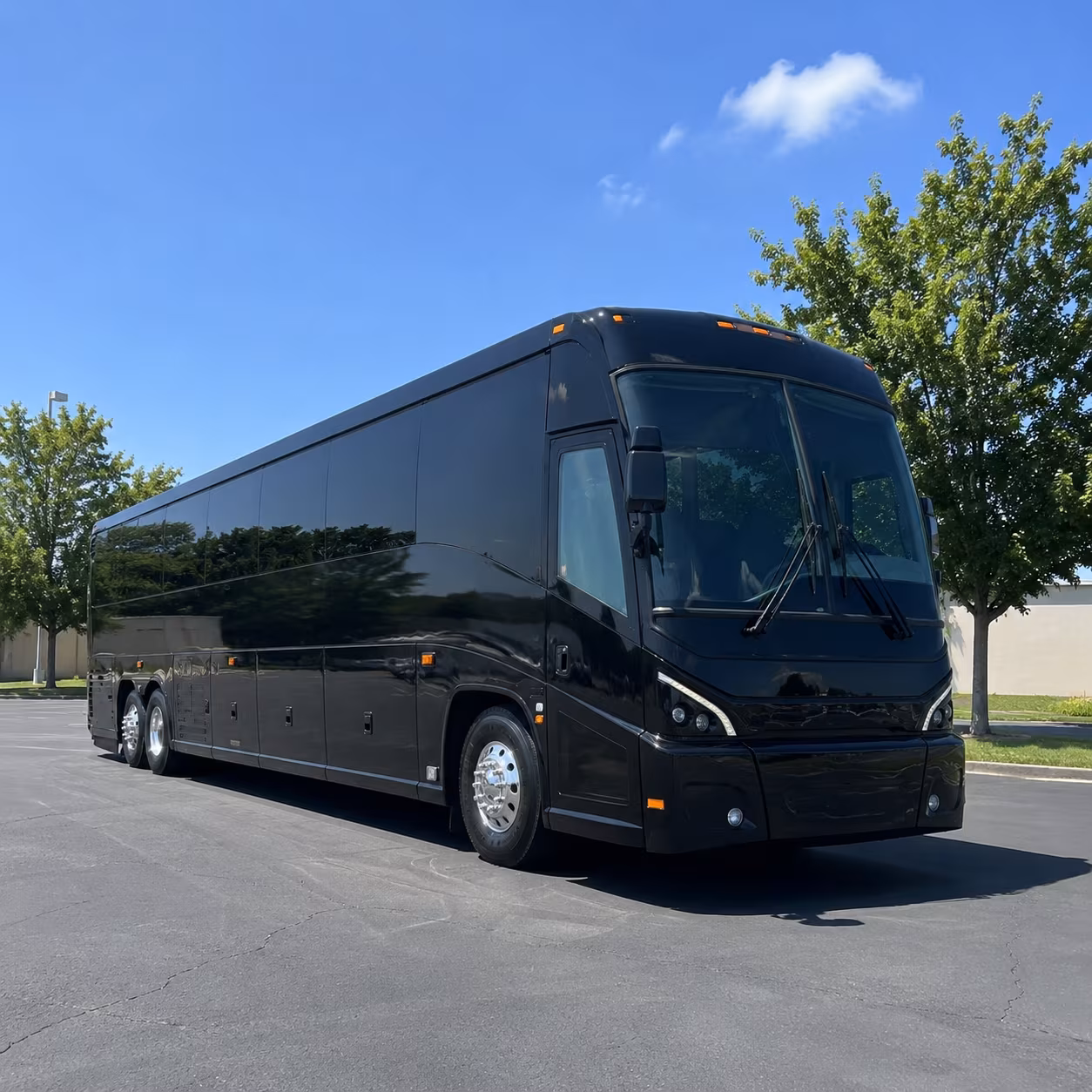 charter buses from san antonio to austin dallas and houston