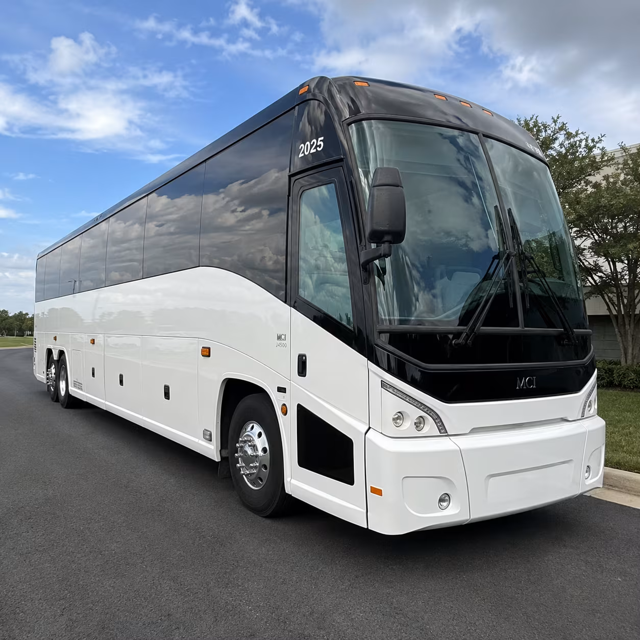 science field trips to natural bridge caverns and the san antonio zoo